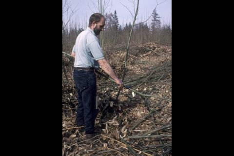 A man coppicing - © Forestry Commission